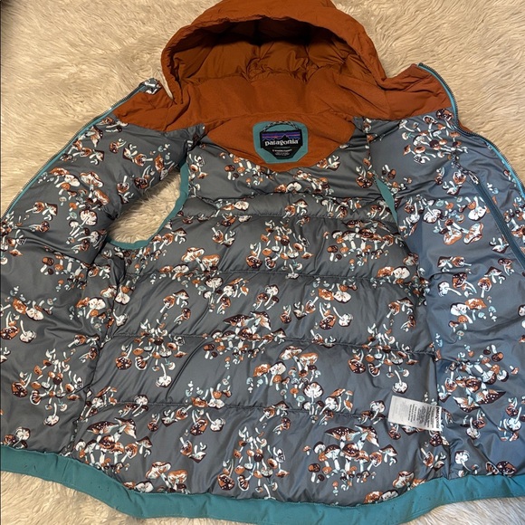 Patagonia 🍄‍🟫 Mushroom 🍄‍🟫 Vest - Picture 4 of 6